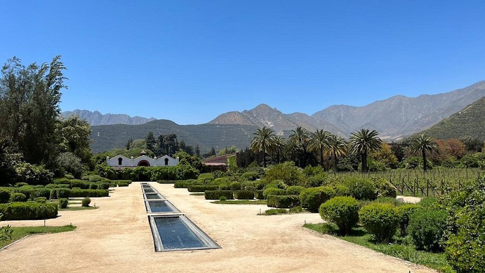 Andes Chile Vinhedos