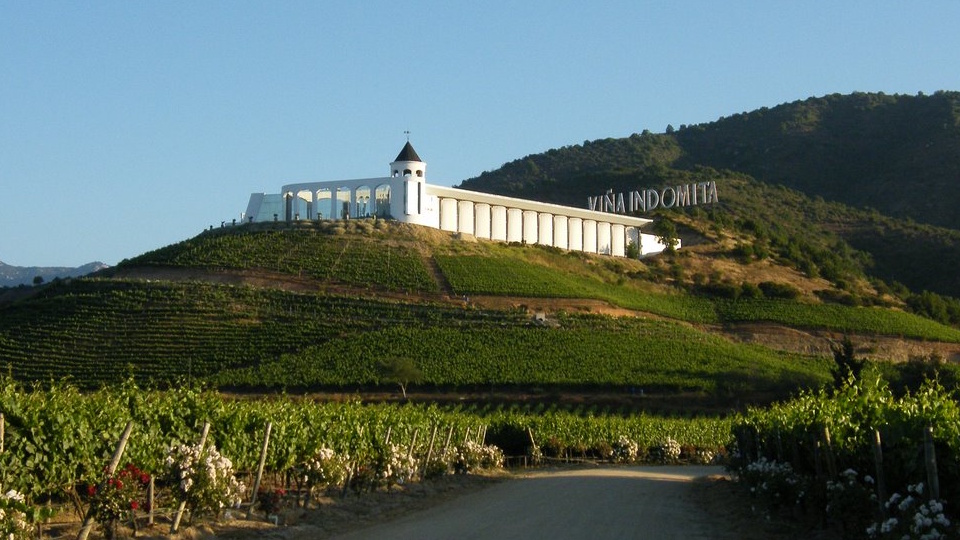 Casablanca Vinhedos Tour