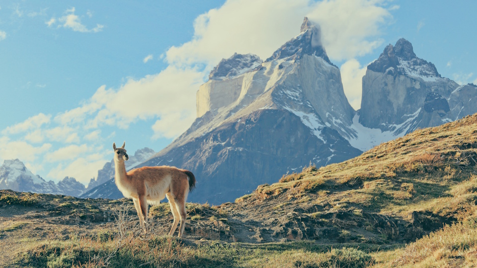 Patagonia Chilena